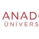 anadolu üniversitesi